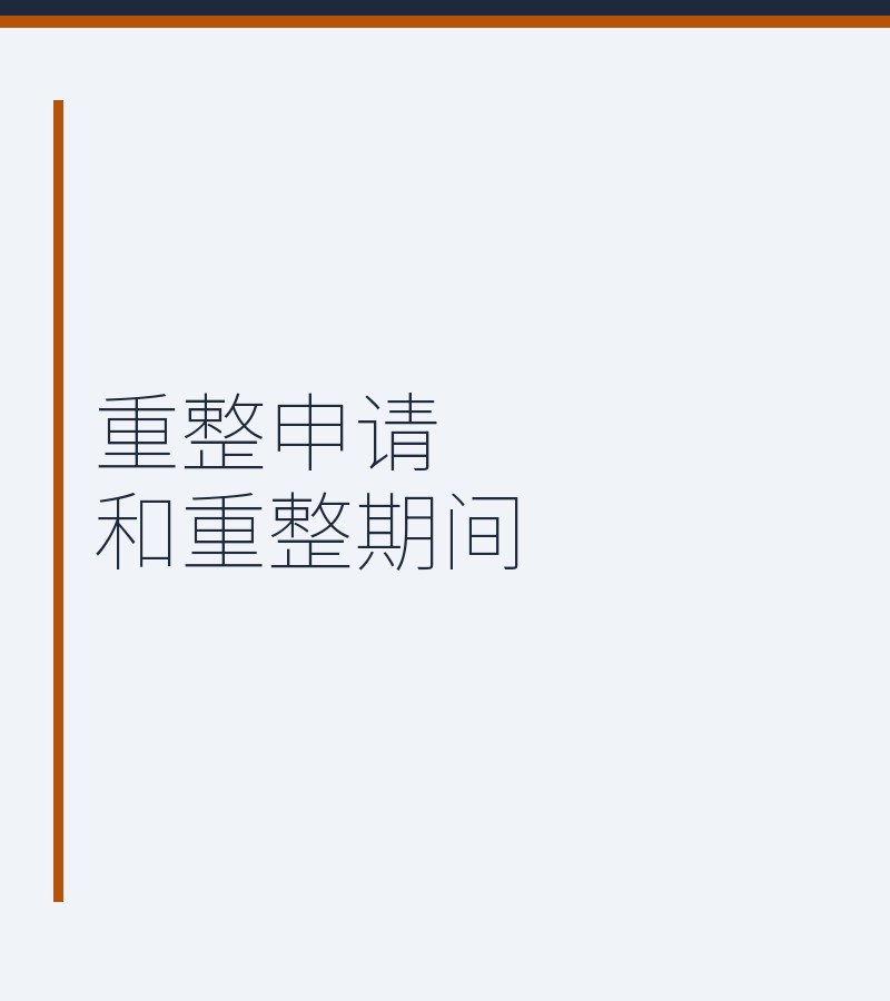 重整申请和重整期间