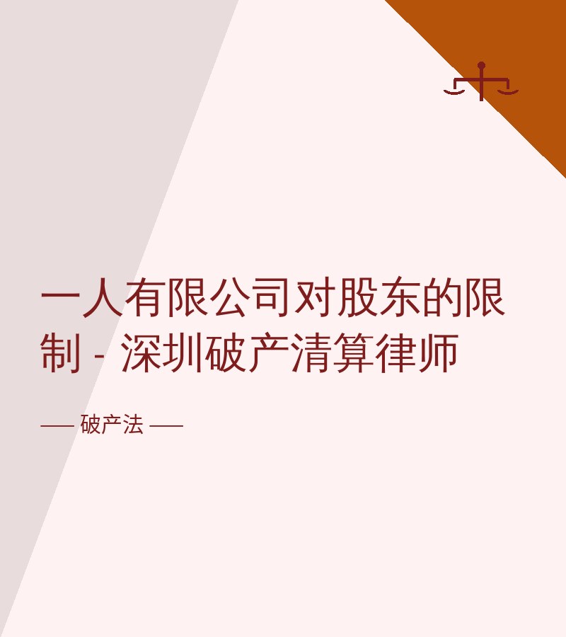 一人有限公司对股东的限制 - 深圳破产清算律师